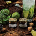 Табак для кальяна WTO Caribbean blend Mojito (Мохито) 20г.