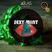 Табак для кальяна Atlas - Wild Forest Compote (Компот) 100г