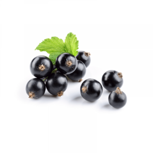Табак для кальяна Tangiers БА 250г - BIRQUQ Brambleberry (Черная смородина)