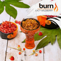 Табак для кальяна Burn - Juicy Wildberry (Земляника) 100г