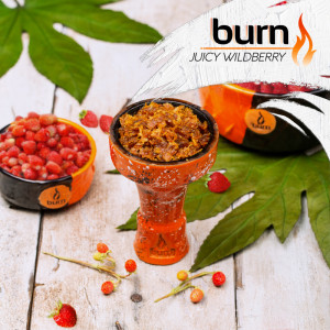 Табак для кальяна Burn - Juicy Wildberry (Земляника) 100г