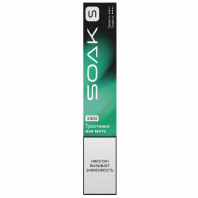 Электронная сигарета SOAK Pods S2 3500 - Cane Mint (Тростниковая мята)